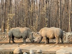 -北京野生动物园