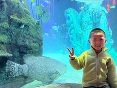 -沈阳海洋探索中心