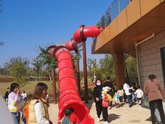 -九龙湖公园