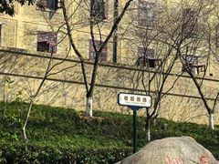 -武汉大学-樱园