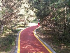 -西安汉城湖景区