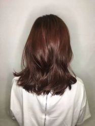 -藤野造型