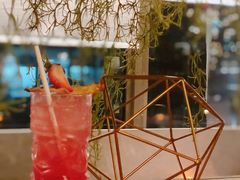 -Oasis Bar & Grill