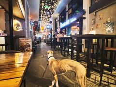 -Cyclus Craft Kitchen薩克思手工厨房