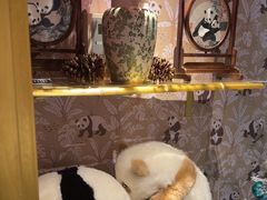 -成都尼依格罗酒店