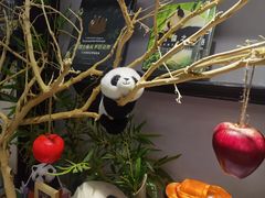 -轩客会(熊猫书店)