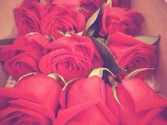 -ROSEONLY诺誓(国际广场购物中心店)