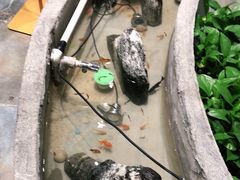 -湘芙蓉·湖南菜(椒江店)