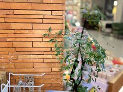 -新华书店(龙头路店)