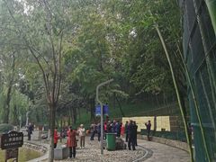 -西安市长乐公园