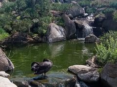 -罗红摄影艺术馆