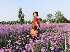 xua-渔岛海洋度假区