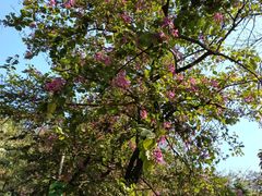 -水濂山森林公园