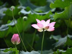 -北山街历史文化街区