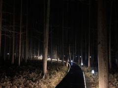 -上海怡沁园度假酒店