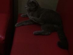 -游人馆·桌游狼人杀团建馆(人广书城店)
