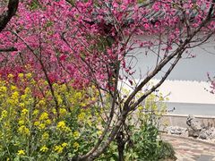 -南汇桃花村