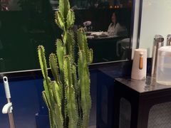 -风渡嘉荷西餐厅 Windy City(西三旗金隅店)