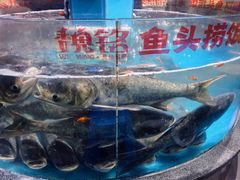 -魏铭鱼头捞饭(晋阳路店)