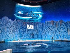 -珠海长隆海洋王国