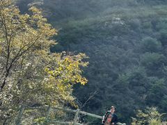 -孤山寨风景区