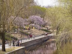 景点-元大都城垣遗址公园