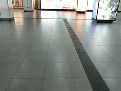 -东方体育中心(地铁站)