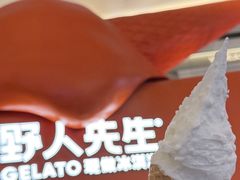-野人先生现做冰淇淋(北京王府井东方新天地店)