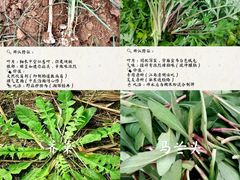 -广富林郊野公园-P5停车场