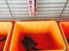 -荔城生鲜盛宴(番禺旗舰店)