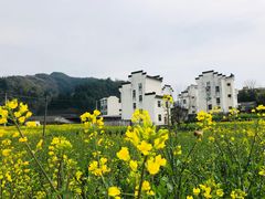 -新安江山水画廊风景区