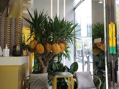 -猫王榴莲世家(三里屯SOHO商场店)