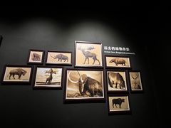 -大庆市博物馆