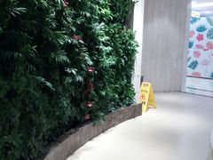 这里是靠近卫生间的地址环境都这么不错，是真正的植物-洋洋广场(南街店)