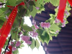 -西安青龙寺遗址景区