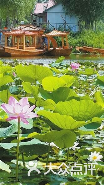 黑鱼湖水上乐园-图片-大庆周边游-大众点评网