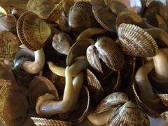 iphone_upload_pic-天津乾毓德饭庄·清真传统炒菜·海鲜烧烤(咸阳路店)