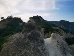 -大岭沟猕猴桃谷风景区