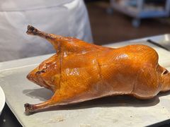 -阿庄新豫菜(航海东路店)