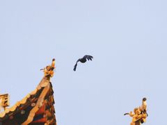 -达仓郎木寺院