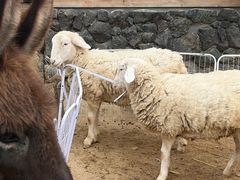 -HERRE·FARM 赫尔露营农场·团建聚会包场