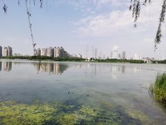-金银湖国家城市湿地公园