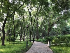 -玲珑塔公园