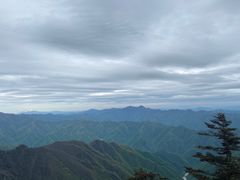 -牛背梁国家森林公园