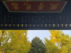 -西园寺素食(西园弄戒幢律寺店)