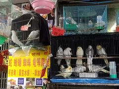 -溪岸路花鸟市场