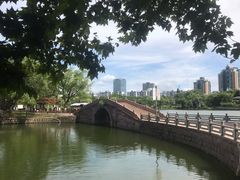 -月湖公园
