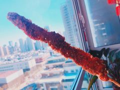 雪花鸡柳-张记炸串肠粉