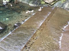 -宁波五龙潭景区