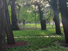 -北京市劳动人民文化宫(太庙)